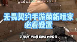 无畏契约手游怎么设置