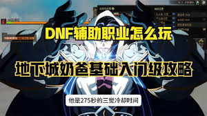 DNF2026奶爸VP技能怎么选