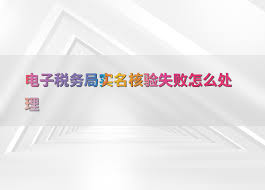 电子税务局人脸核验失败怎么办