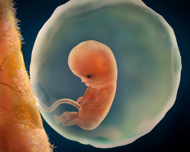 胎儿缺氧孕妇啥感觉 孕期出现这3种情况要小心